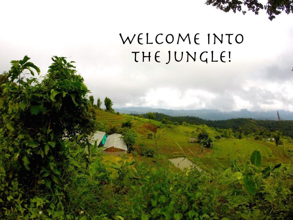 Chiang Mai Dschungel Trekking Tour mit Hindernissen…