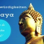 Diese Pattaya Sehenswürdigkeiten musst du besuchen!