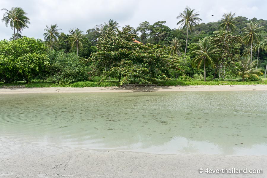 Strand mit klarem Wasser und Palmen
