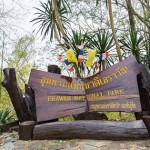 Erawan Nationalpark: Ein Tag beim Erawan Wasserfall